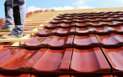 Protect Your Roof: Recognizing and Addressing Common Signs of Damage